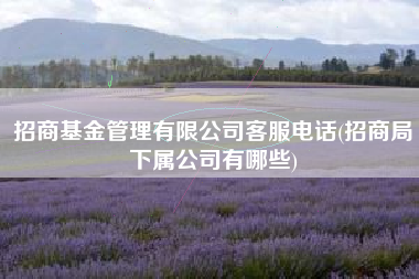 招商基金管理有限公司客服电话(招商局下属公司有哪些)