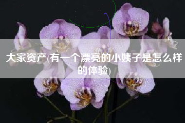大家资产(有一个漂亮的小姨子是怎么样的体验)