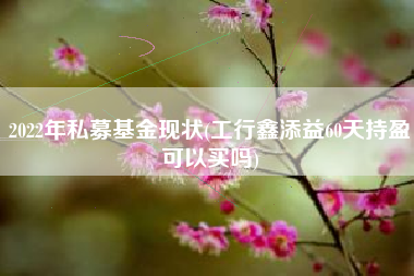 2022年私募基金现状(工行鑫添益60天持盈可以买吗)