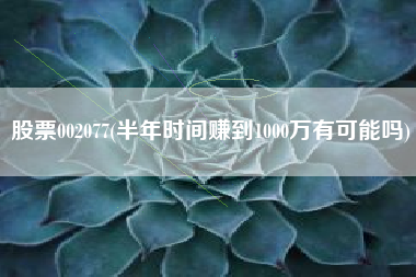 股票002077(半年时间赚到1000万有可能吗)