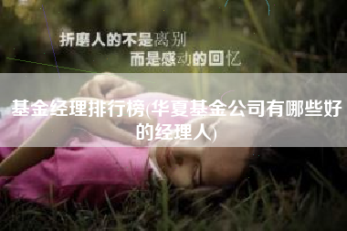 基金经理排行榜(华夏基金公司有哪些好的经理人)