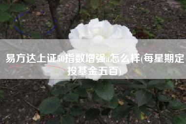 易方达上证50指数增强a怎么样(每星期定投基金五百)