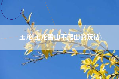 玉龙(玉龙雪山不爬山的玩法)