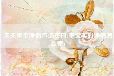 天天基金净值查询每日(基金实时净值怎么看)