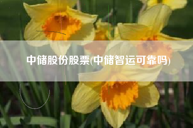 中储股份股票(中储智运可靠吗)