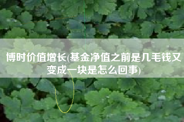 博时价值增长(基金净值之前是几毛钱又变成一块是怎么回事)