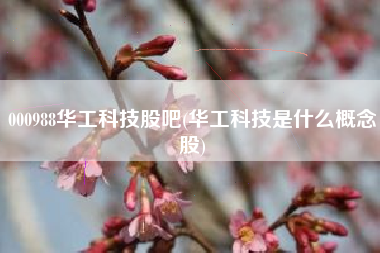 000988华工科技股吧(华工科技是什么概念股)