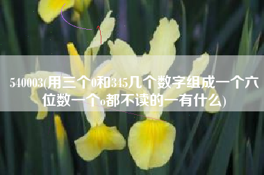 540003(用三个0和345几个数字组成一个六位数一个o都不读的一有什么)