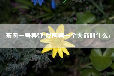 东风一号导弹(我国第一个火箭叫什么)