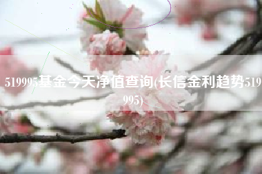 519995基金今天净值查询(长信金利趋势519995)