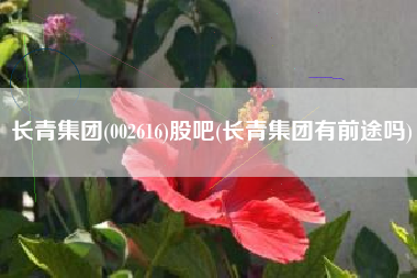 长青集团(002616)股吧(长青集团有前途吗)