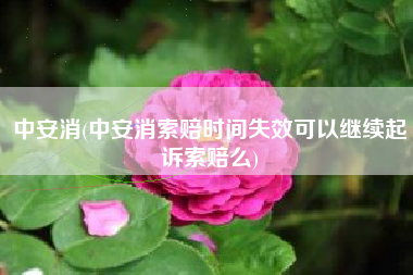 中安消(中安消索赔时间失效可以继续起诉索赔么)