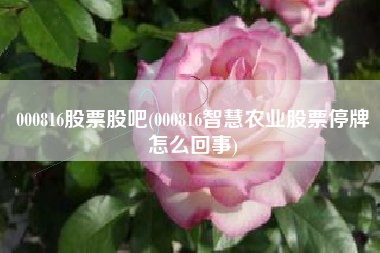 000816股票股吧(000816智慧农业股票停牌怎么回事)