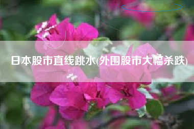 日本股市直线跳水(外围股市大幅杀跌)