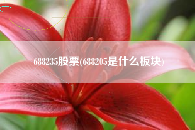 688235股票(688205是什么板块)