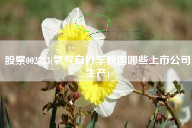 股票002733(氢气自行车我国哪些上市公司生产)