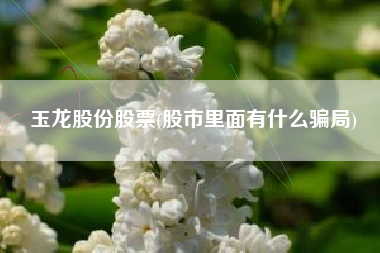 玉龙股份股票(股市里面有什么骗局)