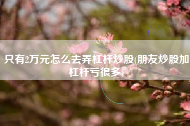 只有2万元怎么去弄杠杆炒股(朋友炒股加杠杆亏很多)