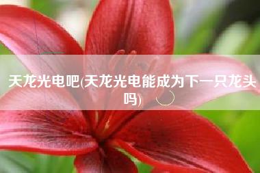 天龙光电吧(天龙光电能成为下一只龙头吗)