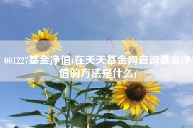 001227基金净值(在天天基金网查询基金净值的方法是什么)