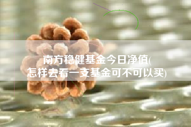 南方稳健基金今日净值(
怎样去看一支基金可不可以买)