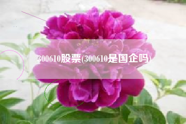 300610股票(300610是国企吗)