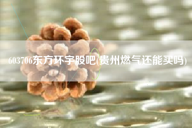 603706东方环宇股吧(贵州燃气还能买吗)