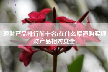 理财产品排行前十名(在什么渠道购买理财产品相对安全)