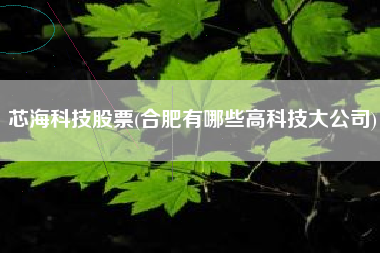 芯海科技股票(合肥有哪些高科技大公司)