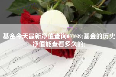 基金今天最新净值查询001039(基金的历史净值能查看多久的)