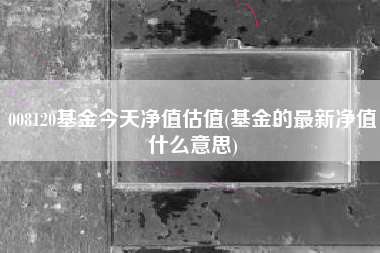 008120基金今天净值估值(基金的最新净值什么意思)