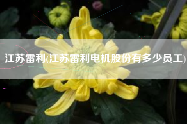 江苏雷利(江苏雷利电机股份有多少员工)
