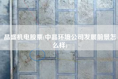 晶盛机电股票(中晶环境公司发展前景怎么样)