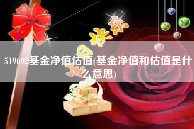 519692基金净值估值(基金净值和估值是什么意思)