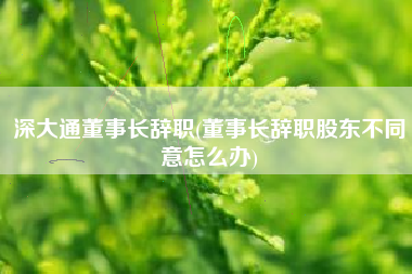 深大通董事长辞职(董事长辞职股东不同意怎么办)