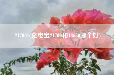 217001(充电宝21700和18650哪个好)