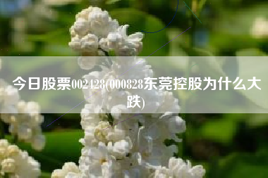 今日股票002428(000828东莞控股为什么大跌)
