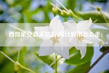 西部矿业真实估值(预计股市怎么走)
