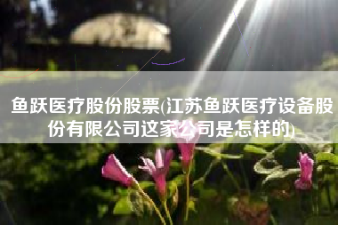 鱼跃医疗股份股票(江苏鱼跃医疗设备股份有限公司这家公司是怎样的)