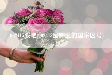 002415股吧(002415是哪里的国家区号)