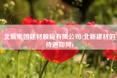 北新集团建材股份有限公司(北新建材的待遇如何)