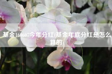 基金160607今年分红(基金年底分红是怎么算的)