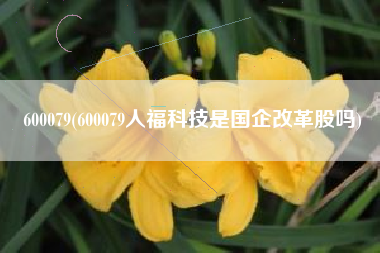 600079(600079人福科技是国企改革股吗)