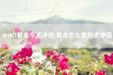 001051基金今天净值(基金怎么看历史净值)