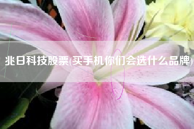 兆日科技股票(买手机你们会选什么品牌)