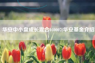 华安中小盘成长混合040007(华安基金介绍)