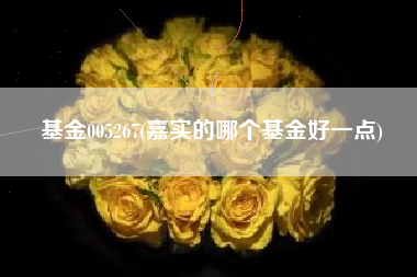 基金005267(嘉实的哪个基金好一点)