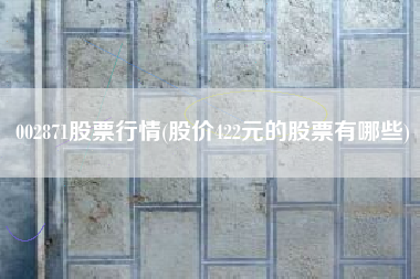 002871股票行情(股价422元的股票有哪些)