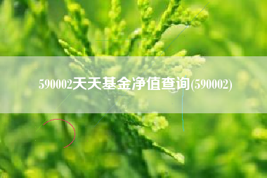 590002天天基金净值查询(590002)