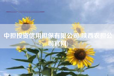 中担投资信用担保有限公司(陕西农担公司官网)